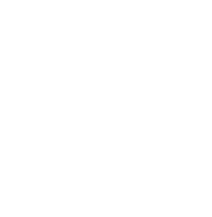 NGU Trailblazers fox head white